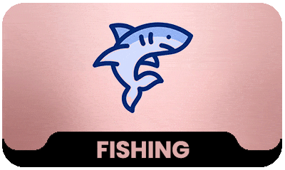 B5efa532a808628cff959